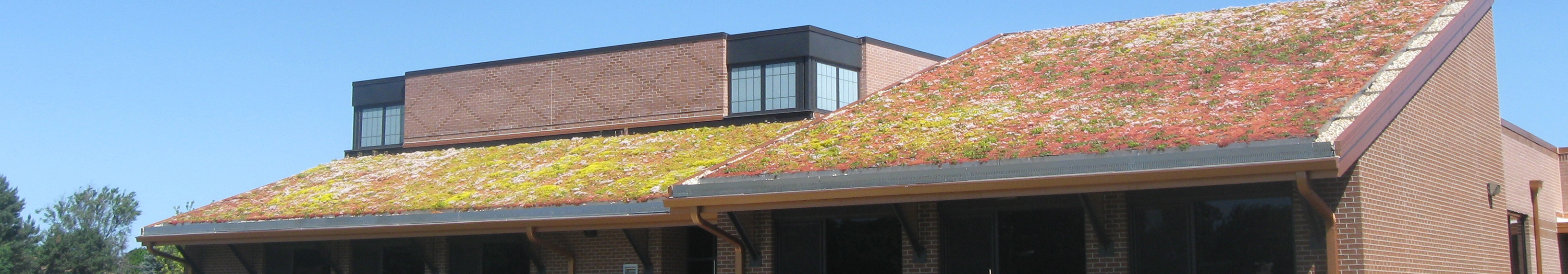 Système Garden Roof® en pente