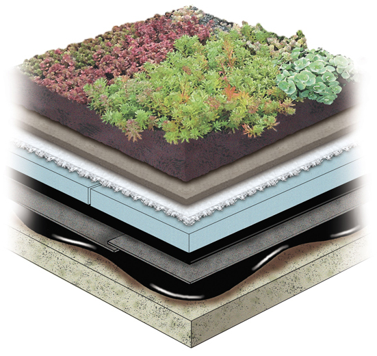 Système Garden Roof® Laine de roche