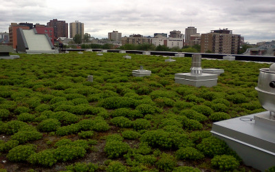 Système Garden Roof® Extensif