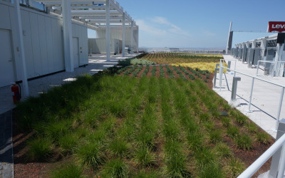 garden roof